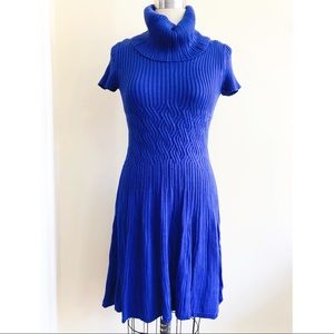 Eliza J Flared Sweater Dress